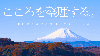 ᡼